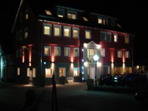 Gasthaus Traube Деттинген-на-Эрмсе Экстерьер фото